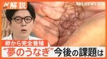 シラスウナギの漁獲量減少による価格の高騰 “うなぎの窮地”を救う切り札「完全養殖」とは【Nスタ解説】|TBS NEWS DIG