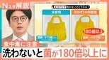 “5月の食中毒”に要注意!「食中毒対策は買い物の時から始まっている」エコバッグにも落とし穴?見落としがちな盲点とは【Nスタ解説】|TBS NEWS DIG
