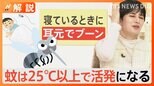 大型連休後半は…“蚊”に要注意!? 気温上昇で活動開始も…刺されない方法とは? ネットの噂を確認すると【Nスタ】|TBS NEWS DIG