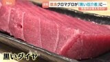 クロマグロが豊漁なのに取れない？「黒いダイヤと言われてたけど、今は黒い厄介者」そのワケは…|TBS NEWS DIG