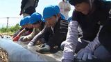 「天ぷらにして食べた～い」保育園児がジャガイモや野菜の植え付けを体験（長野・山形村）|TBS NEWS DIG