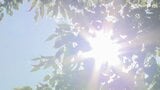 「キャ~楽しい」水遊び場で園児が歓声 強烈な日差しが戻った静岡県内は2日ぶりに「猛暑日」|TBS NEWS DIG