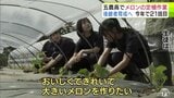 指導を踏まえて1本1本丁寧に 五所川原農林高校で生徒たちがメロンの定植作業 170本の苗を植える メロン生産者の後継者育成を目的に2026年で21回目 青森県 | 青森のニュース│ATV NEWS│青森テレビ
