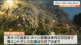 榴岡公園4年ぶり「桜まつり」前に点灯式　仙台市　|　宮城のニュース│tbc NEWS│tbc東北放送