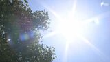 「まぶしいし暑いし」気温上昇、午前中に真夏日のところも 18観測地点中17地点で25℃超え=静岡 | 静岡のニュース | SBSNEWS | 静岡放送