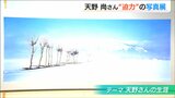 日本の原生林などを細密な写真で 写真家 天野尚さんの創作活動をたどる「創造の原点」新潟市西区|TBS NEWS DIG