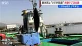 佐渡の本マグロ豊漁！例年より1か月早く 150kg超の大物 続々水揚げに漁港沸く　新潟県　|　新潟のニュース・天気｜BSN NEWS｜BSN新潟放送