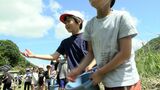 「日本一のホタルの里」を掲げる真庭市の北房地区 地元小学生が保護活動を行う【岡山】|TBS NEWS DIG