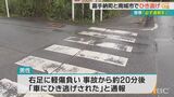 県内でひき逃げ事件が相次ぐ 8歳の女の子と24歳男性が被害に 横断歩道を渡る途中で事故発生 |TBS NEWS DIG