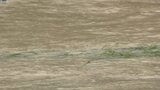 岩手県内全域で雨 大雨の影響残る このあとも雷を伴って非常に激しい雨が降り、大雨となるところがある見込み|TBS NEWS DIG