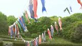 端午の節句を前に春の空に放たれた約80匹のこいのぼり　大きいもので9メートル　子どもたちの健やかな成長願い【岡山】　|　岡山・香川のニュース | 天気 | RSK山陽放送
