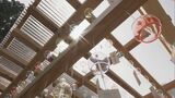 涼しい音色で暑気払い 岐阜・高山市の神社で風鈴まつり始まる|TBS NEWS DIG