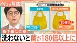 “5月の食中毒”に要注意！「食中毒対策は買い物の時から始まっている」エコバッグにも落とし穴？見落としがちな盲点とは【Nスタ解説】|TBS NEWS DIG
