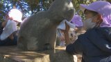 感謝の気持ちを込めて磨き上げる　笛吹市の園児が干支の石像を掃除　|　山梨のニュース | ＵＴＹテレビ山梨