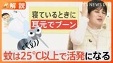 大型連休後半は…“蚊”に要注意!? 気温上昇で活動開始も…刺されない方法とは? ネットの噂を確認すると【Nスタ】|TBS NEWS DIG