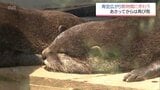 宮崎県内　梅雨の晴れ間続き動物園にぎわうも･･･　14日からは雨予想　|　MRTニュース ｜ ＭＲＴ宮崎放送