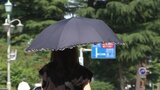 岩手県内高気圧に覆われ朝から気温上がる 猛暑日予想も|TBS NEWS DIG