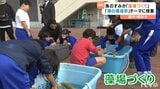 愛媛県西予市立明浜小の児童 魚のすみか「藻場づくり」に挑戦　「海の環境」学ぶ　|　愛媛のニュース - Nスタえひめ｜あいテレビは6チャンネル