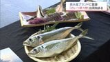 日南市目井津港に水揚げされるブランド魚「めいつ美々鯵」　今季の出荷が始まる　　|　MRTニュース ｜ ＭＲＴ宮崎放送