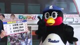 ヤクルト「つばみ」があいテレビに！ ＤｅＮＡベイスターズ戦の松山開催をPR|TBS NEWS DIG