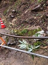 今度は落石…称名滝への遊歩道で去年に続いて通行止め「鑑賞は十分可能」　富山　　|　富山のニュース｜天気・防災｜チューリップテレビ
