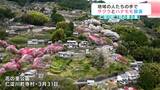 まるで絵本の世界 地域で作った公園でサクラとハナモモ競演 高知県仁淀川町「花の里公園」 | 高知のニュース・天気|KUTV NEWS | KUTVテレビ高知