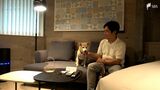 「どんなことも全て一緒に楽しんで」愛犬と宿泊、工芸体験できる「1(ワン)HOTEL」開業=静岡市駿河区 | 静岡のニュース | SBSNEWS | 静岡放送