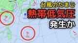 【台風のたまご】新たな「熱帯低気圧」があす(13日)夜までに発生か…今後の動向は? 21日までの雨風シミュレーション【気象庁12日天気図】|TBS NEWS DIG