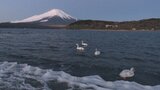 山中湖で-7.1度 強い冬型の気圧配置で厳しい寒さ|TBS NEWS DIG