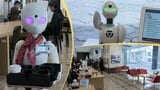 難病や障害などで外出が困難な人たちが遠隔操作で接客　「分身ロボットカフェ」が盛岡市内のデパートで期間限定オープン|TBS NEWS DIG