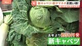 家計の救世主？いま旬の「新物野菜」が安くてうまい！新ジャガイモに…新タマネギも　オススメは新キャベツ 甘味が強くシャキシャキ|TBS NEWS DIG
