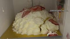 高島屋クリスマスケーキ“崩れた状態”　問い合わせ全国から約900件に　予約販売数の3分の1に迫る| TBS CROSS DIG with Bloomberg