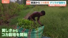 “麻薬対策”争点のコロンビア大統領選　コカ栽培めぐり左派は「転作」 極右は「壊滅」を主張 「親族のうち20人が殺された」 長くつづく課題に国民の選択は？| TBS CROSS DIG with Bloomberg