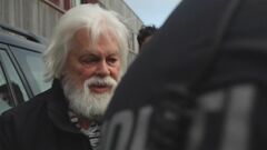 シー・シェパード元代表の勾留　今月18日まで延長| TBS CROSS DIG with Bloomberg