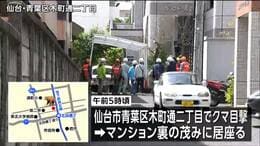 仙台市街地の茂みにいたクマに緊急銃猟、19日午後7時半頃駆除　仙台・青葉区|TBS NEWS DIG