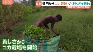 “麻薬対策”争点のコロンビア大統領選　コカ栽培めぐり左派は「転作」 極右は「壊滅」を主張 「親族のうち20人が殺された」 長くつづく課題に国民の選択は？| TBS CROSS DIG with Bloomberg