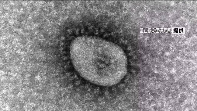 インフルだけでなく新型コロナの感染者も増加 去年8月以来の400人超え 鹿児島|TBS NEWS DIG