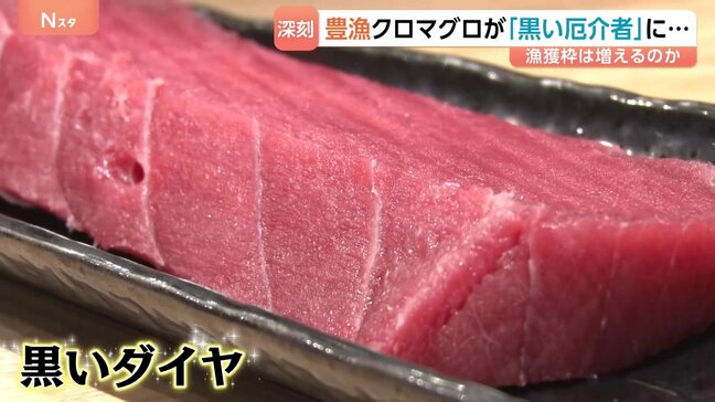 クロマグロが豊漁なのに取れない？「黒いダイヤと言われてたけど、今は黒い厄介者」そのワケは…|TBS NEWS DIG