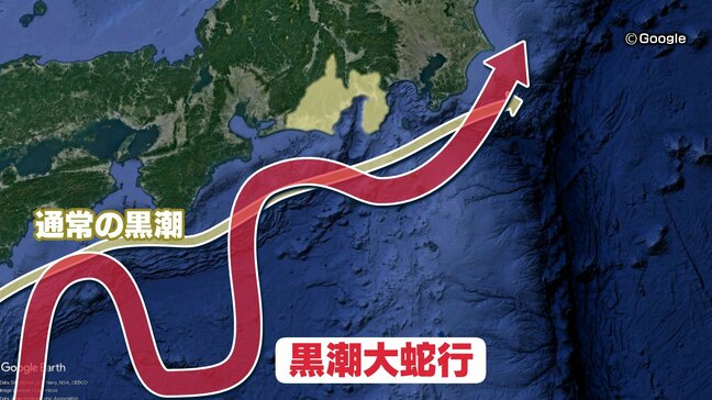 黒潮大蛇行は「漁業」だけでなく「気象」にも影響 高潮リスク・蒸し暑さ・雨の激しさも…終息で今後どうなる?|TBS NEWS DIG