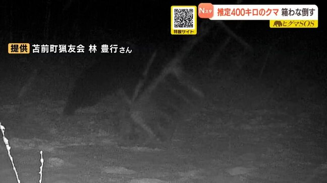 【ヒグマ出没】「簡単にわなに入ってくれるクマじゃない」推定400キロほどの巨大ヒグマ、箱わな倒す　猟友会設置のカメラに一部始終　北海道苫前町|TBS NEWS DIG