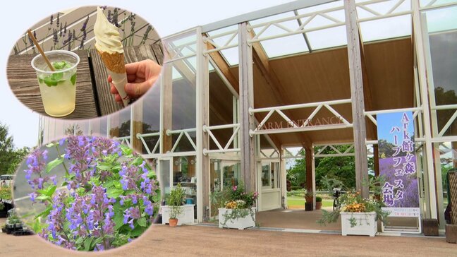 100種類以上のハーブの香りが漂う牧場で開催中のハーブフェスタの魅力に迫る　岩手・一関市|TBS NEWS DIG