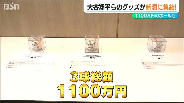 「3球で1100万円」大谷翔平選手ら日本人メジャーリーガーのレアグッズを展示・販売 23日新潟に期間限定オープン|TBS NEWS DIG