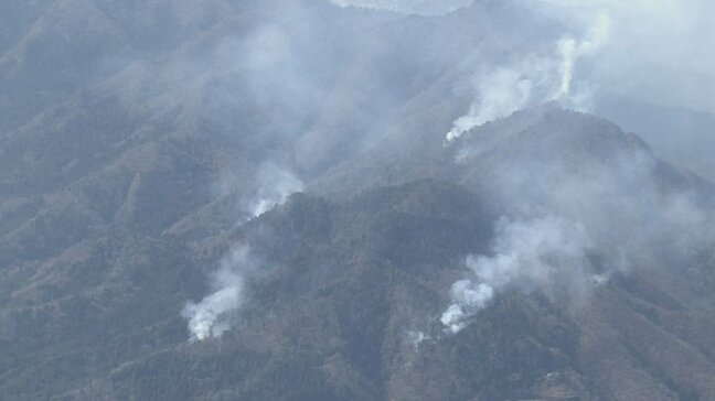 【速報】東京消防庁の職員が枝を焼却→注意怠り延焼 森林法違反の疑いで書類送検 約107ヘクタールが燃えた山火事 山梨|TBS NEWS DIG