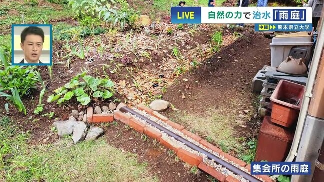【洪水対策】庭が川の増水を防ぐ?自宅でできる治水「雨庭(あめにわ)」がもたらす 一石三鳥の効果|TBS NEWS DIG