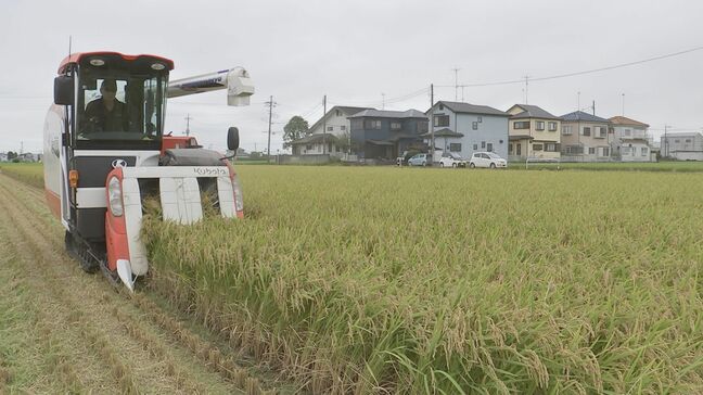 稲の生育「おおむね順調」 コメ生産 前年から56万トン増 農水省“猛暑や水不足の影響は限定的”|TBS NEWS DIG