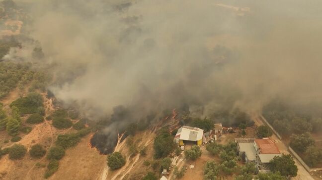 ギリシャ山火事で消火中にヘリ2機衝突2人死亡 猛暑でハンガリーは原発停止 フランス・スペインの山火事はほぼ鎮火|TBS NEWS DIG