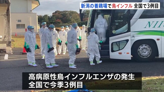 新潟県胎内市の養鶏場で鳥インフルエンザ発生　63万羽を処分|TBS NEWS DIG