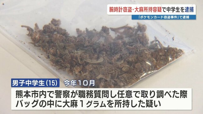 大麻所持容疑などで中学生を逮捕 ポケカ窃盗にも関与か 時系列を追うと…補導→所在不明→事件→逮捕|TBS NEWS DIG