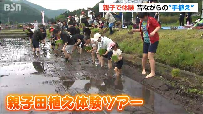 「昔の人スゴすぎる」約1800平方mの田んぼで『手植え』に挑戦!親子で“キッズチャレンジ” 新潟・胎内市|TBS NEWS DIG