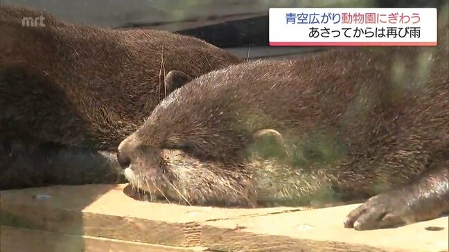 宮崎県内　梅雨の晴れ間続き動物園にぎわうも･･･　14日からは雨予想|TBS NEWS DIG